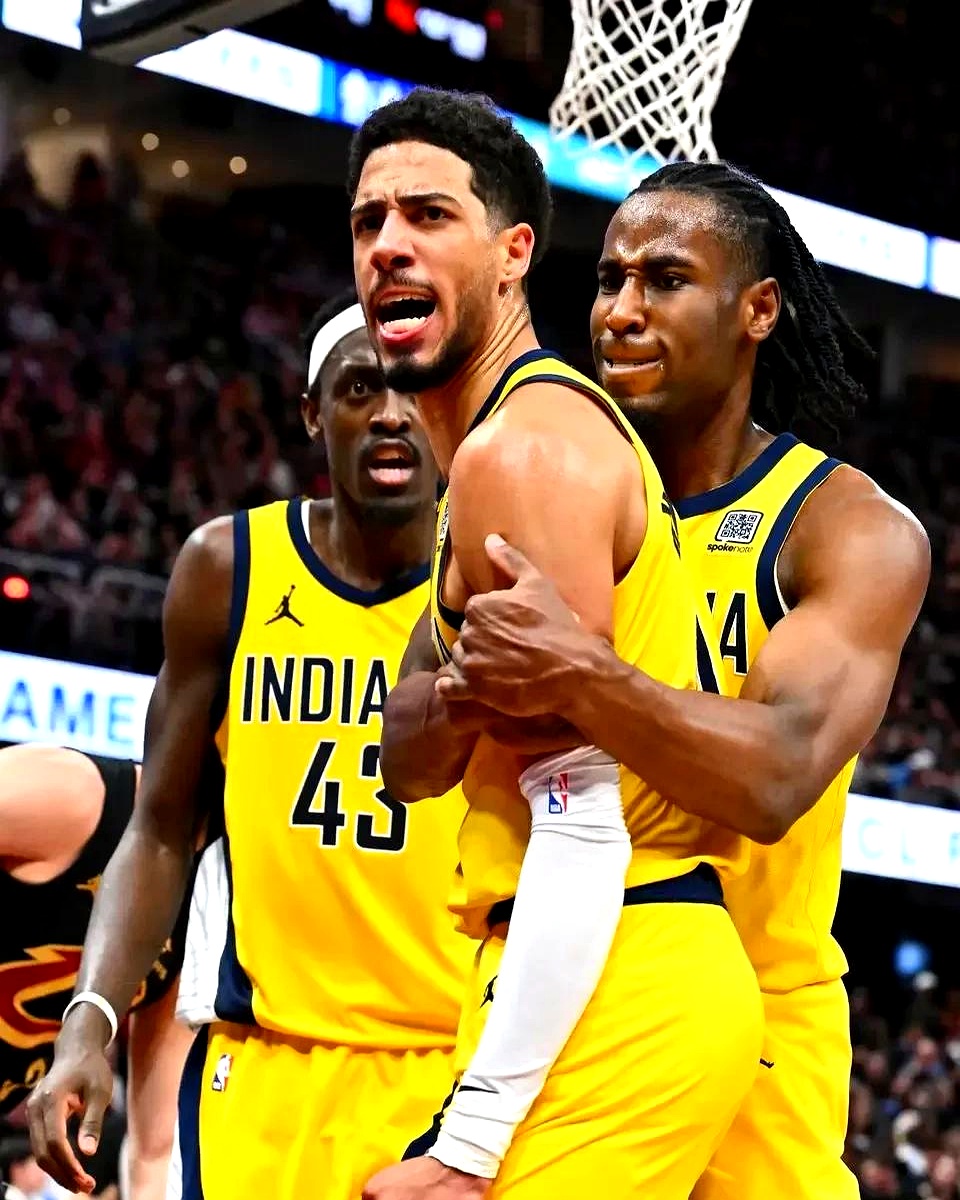 魔术队新秀表现出色,成为团队新宠儿!的简单介绍 魔术队新秀表现出色,成为团队新宠儿!的简单介绍