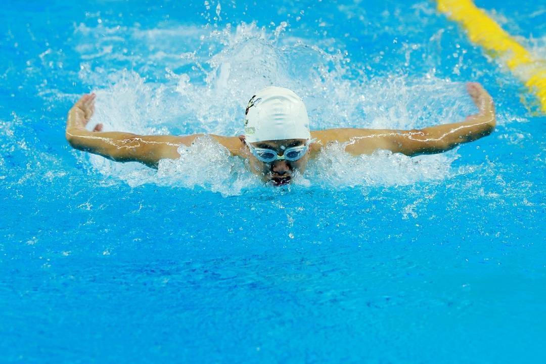 游泳赛事精彩瞬间盘点，年度回顾震撼登场的简单介绍