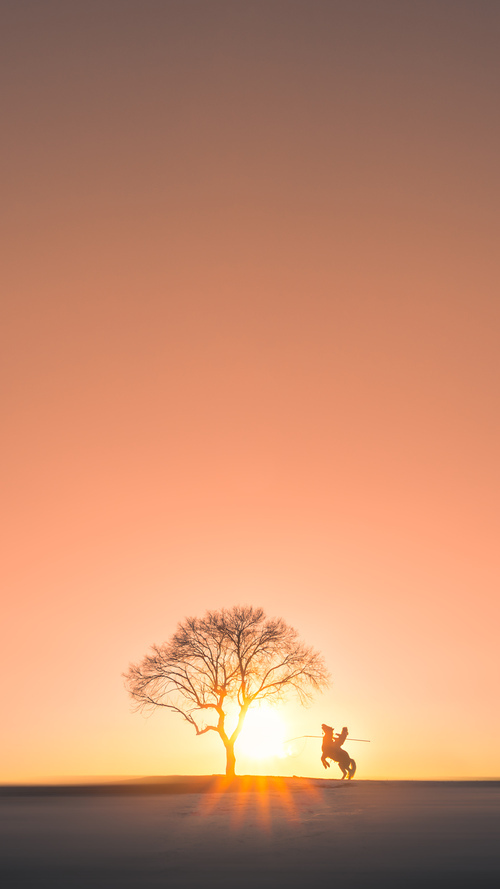 撕裂时空的足球战士,当切尔西席卷加拿大,弗拉霍维奇在奥运烽火中加冕