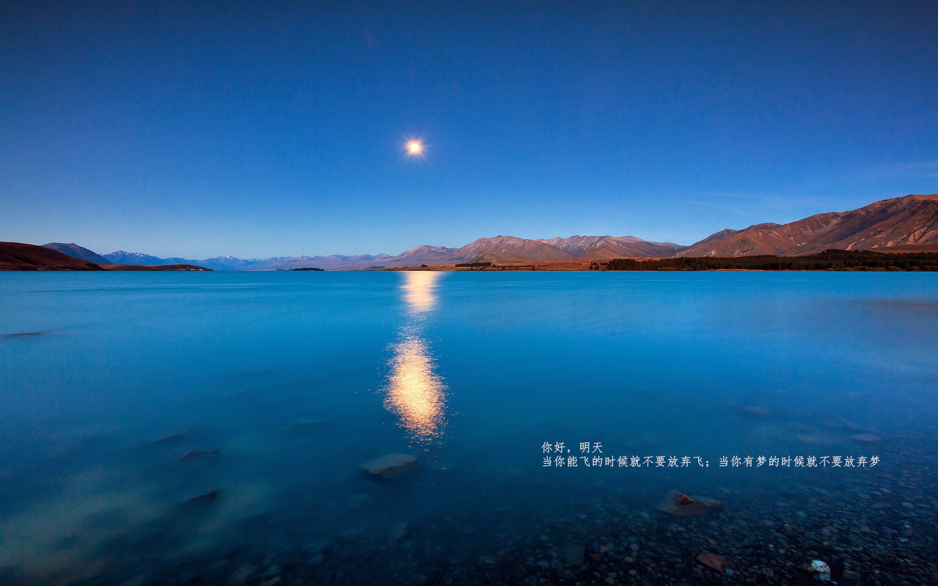 两个赛场，两种胜利，奥纳纳的门线芭蕾与韩国的战术铁壁