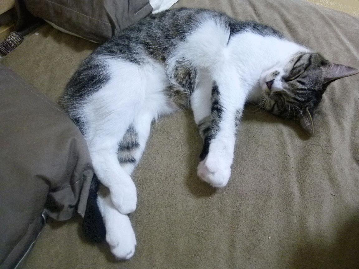 悬崖边的火焰,东决关键战骑士逆转火箭启示录