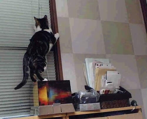 当雄鹿一波流带走广东，我们看见詹姆斯在季后赛的血脉觉醒