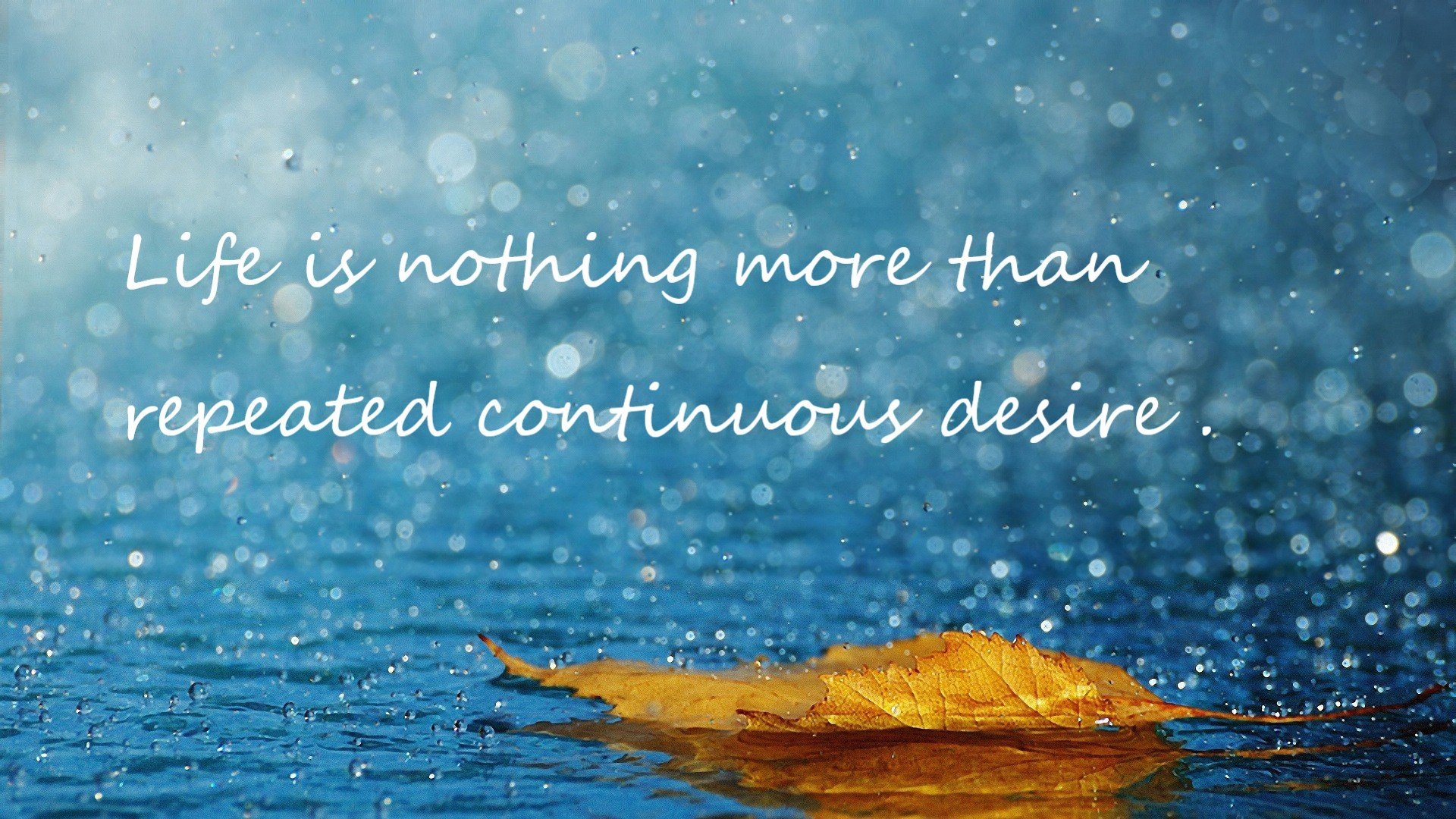 南美风暴席卷大洋洲，委内瑞拉横扫新西兰，哈弗茨独造三球上演统治级演出