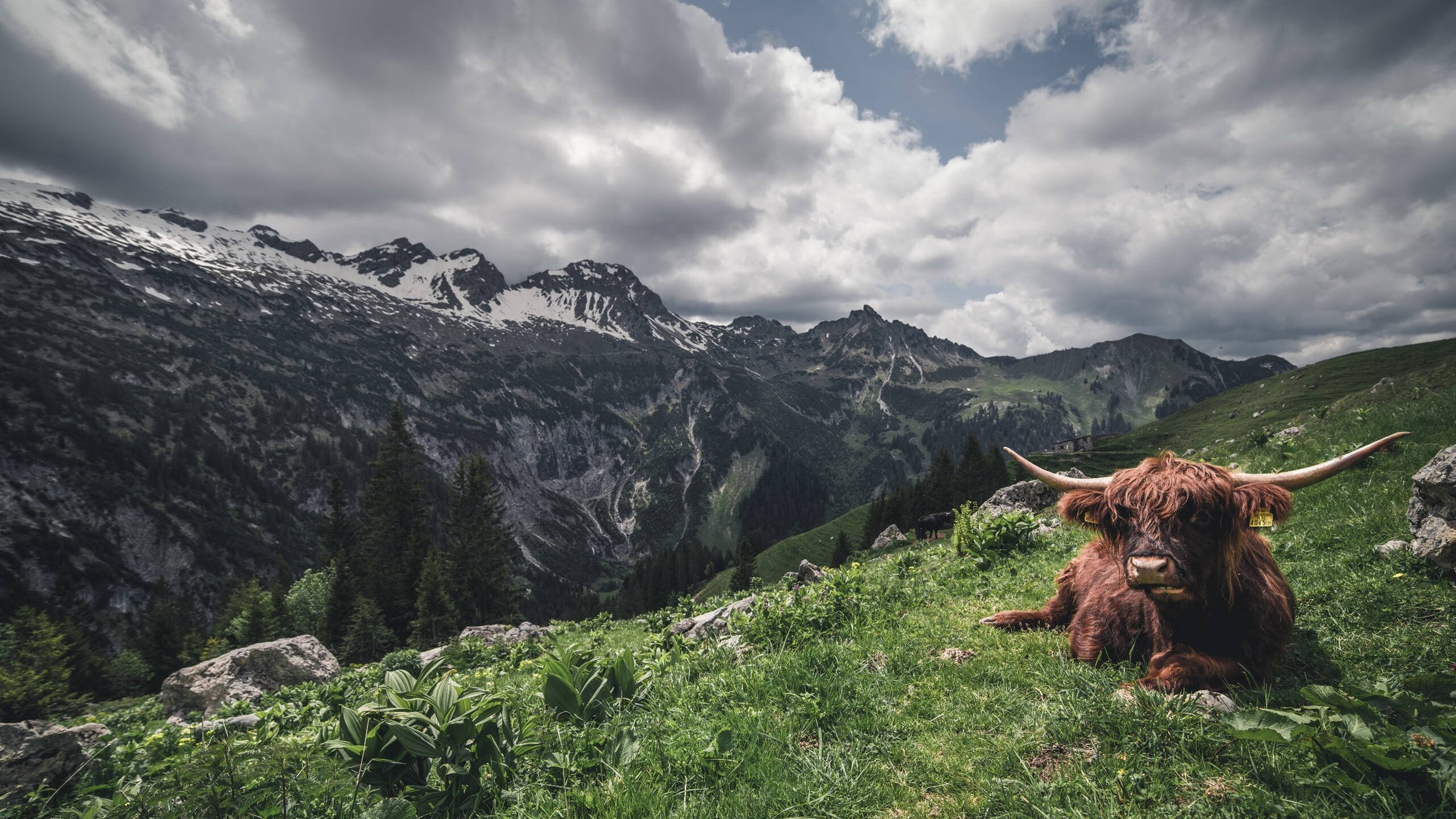 摩纳哥带走乌拉圭,拉亚在西甲德比接管,足球大陆上的技术迁徙与风格革命