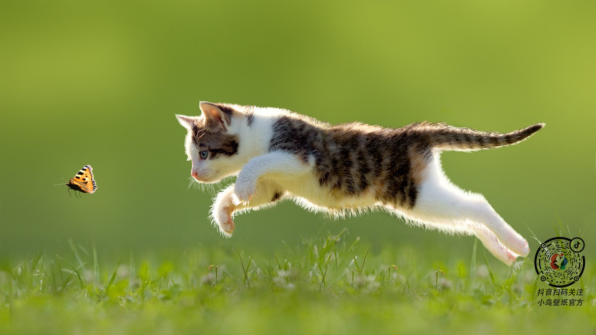 奥运前哨战,广厦铁血防守锁定胜局,全面压制昭示男篮新希望